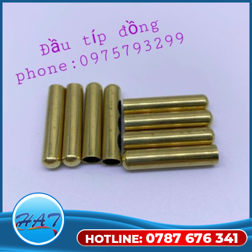 Đầu Típ